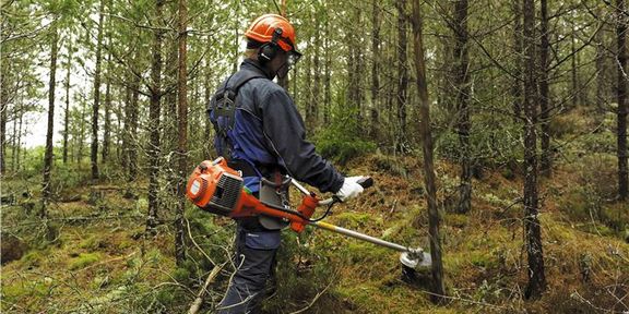 Husqvarna Forstfreischneider und Hochentaster